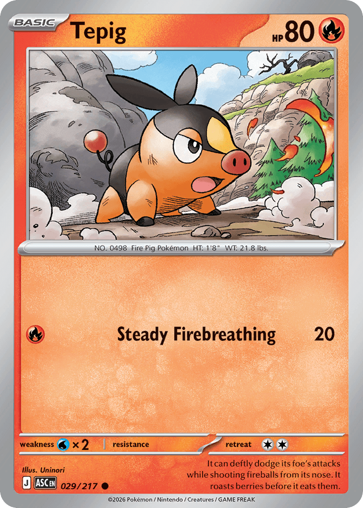 Tepig 29/217