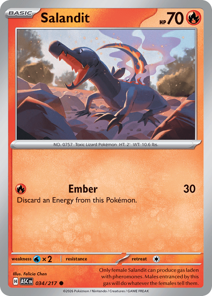 Salandit 34/217