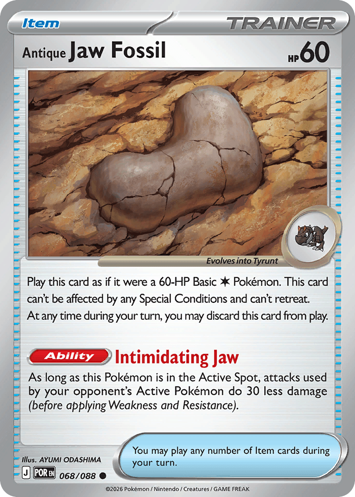 Antique Jaw Fossil 68/88