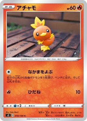 Torchic