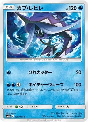 Tapu Fini