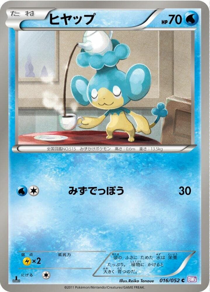 Panpour 016/52
