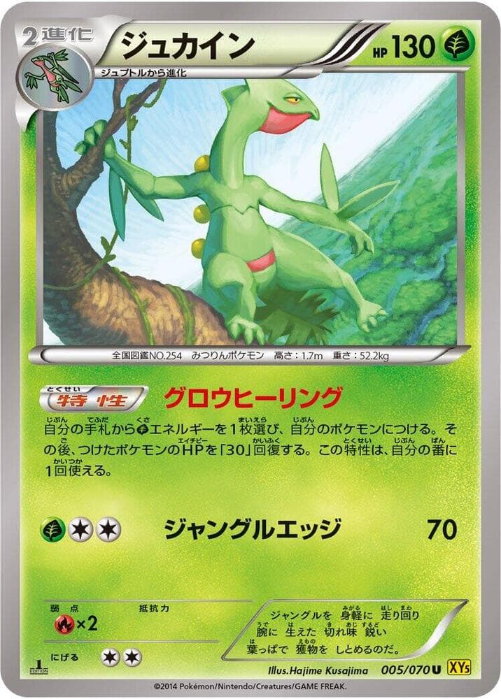 Sceptile 005/70