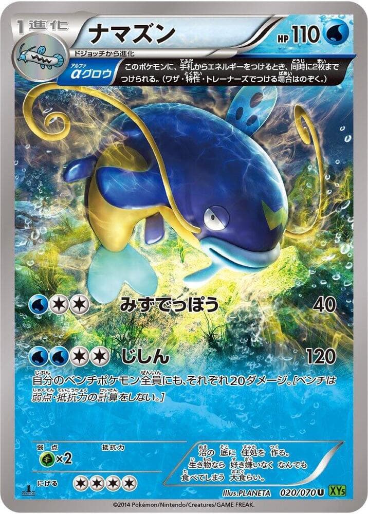 Whiscash 020/70