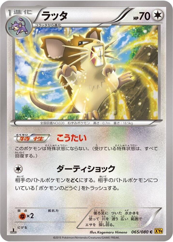 Raticate 065/80