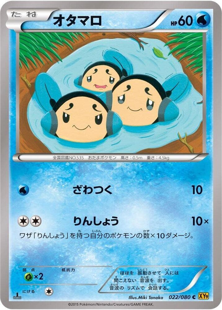 Tympole 022/80