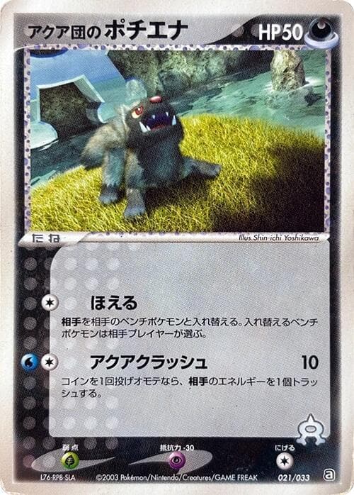 Team Aqua's Poochyena 021/33