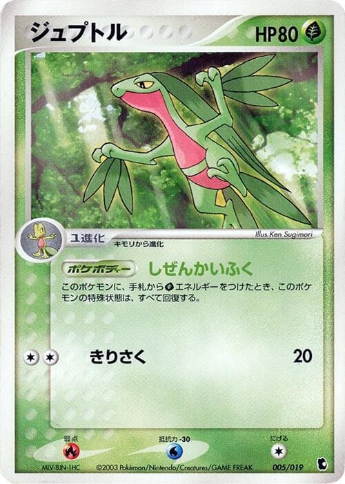 Grovyle 005/19