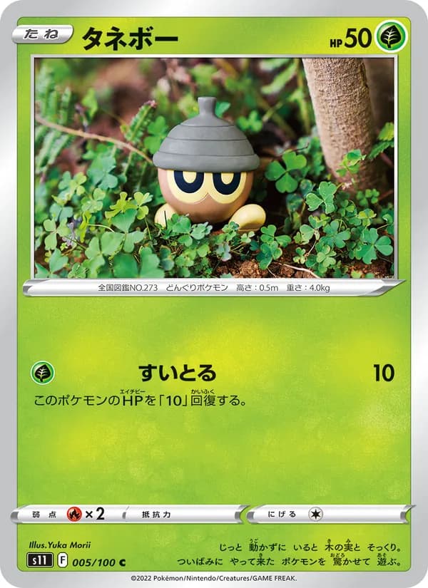 Seedot 005/100