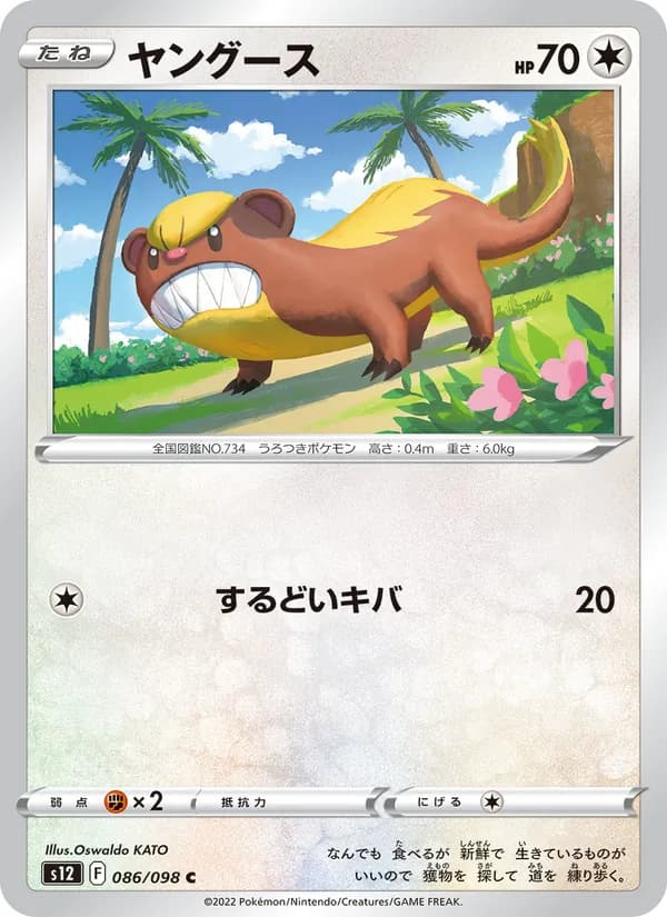 Yungoos 086/98