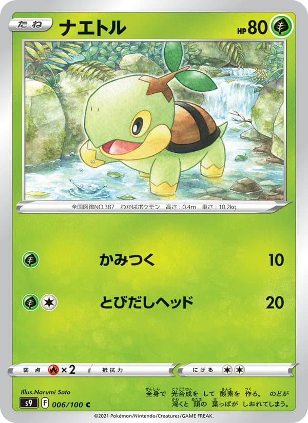 Turtwig 006/100