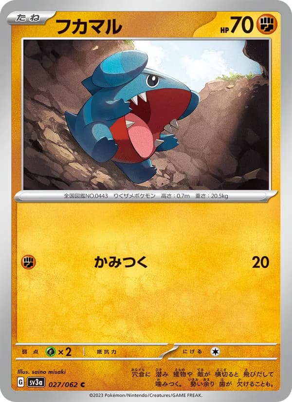 Gible 027/62