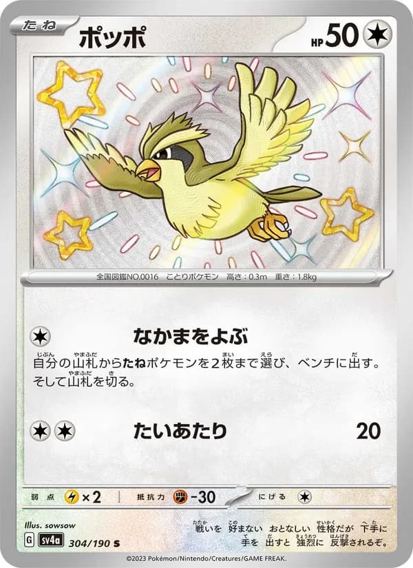 Pidgey 304/190