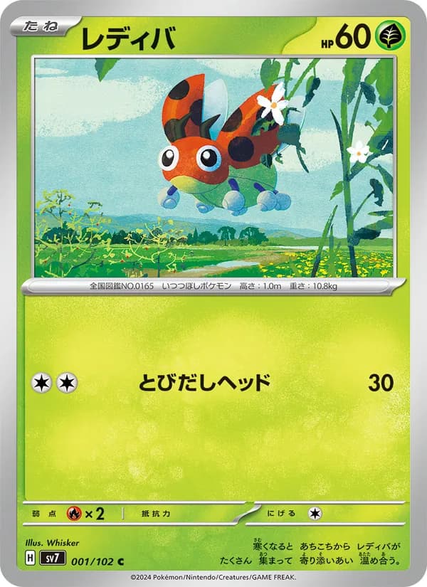 Ledyba 001/102