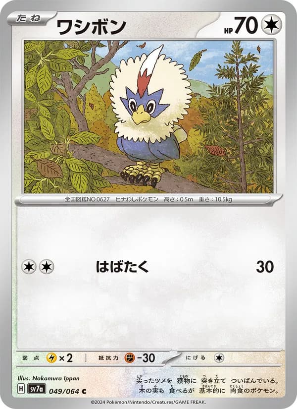 Rufflet 049/64