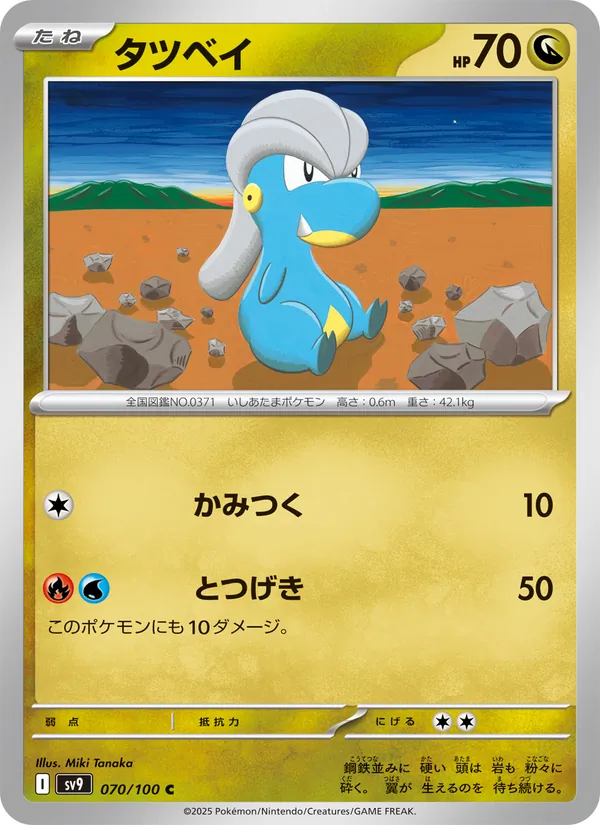 Bagon 070/100