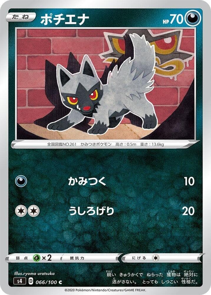 Poochyena 066/100