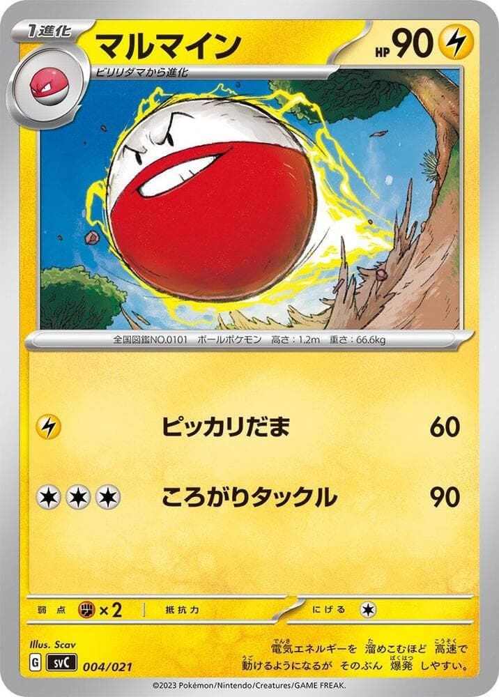 Electrode 004/21
