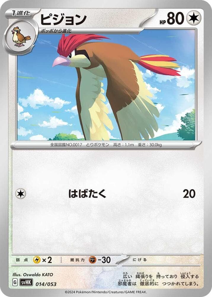 Pidgeotto 014/53