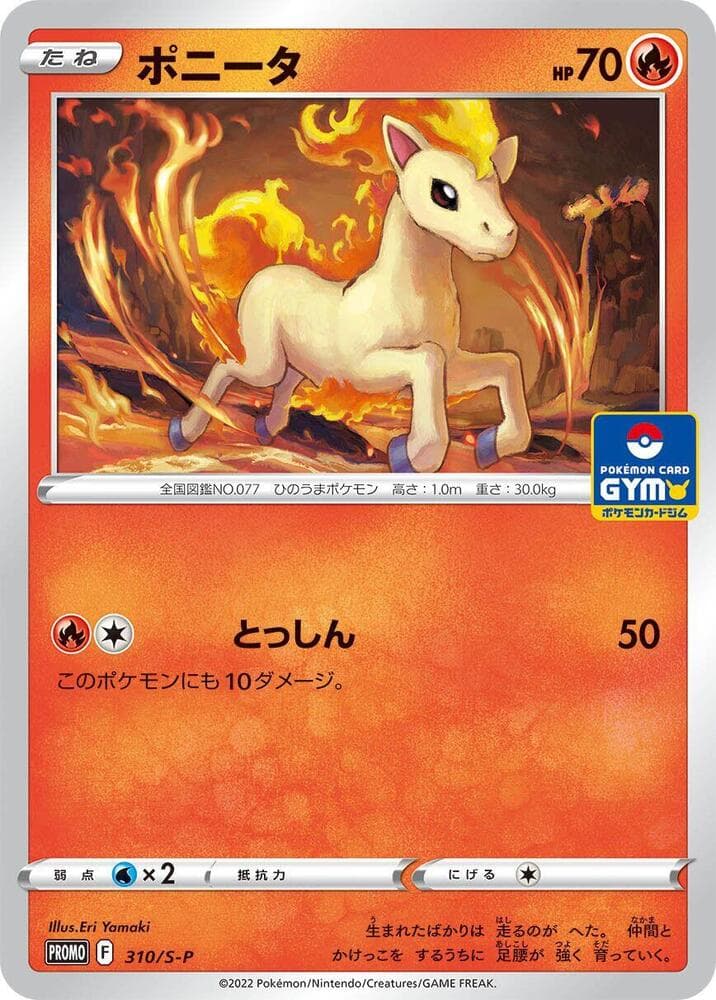 Ponyta 310