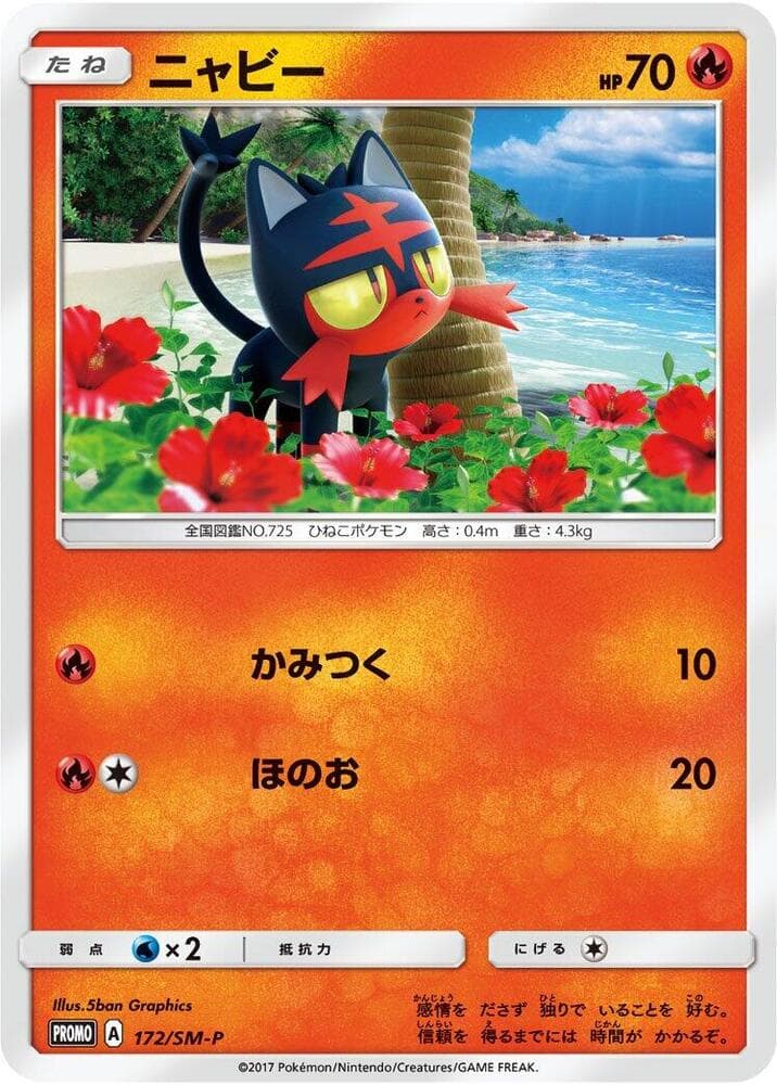 Litten 172