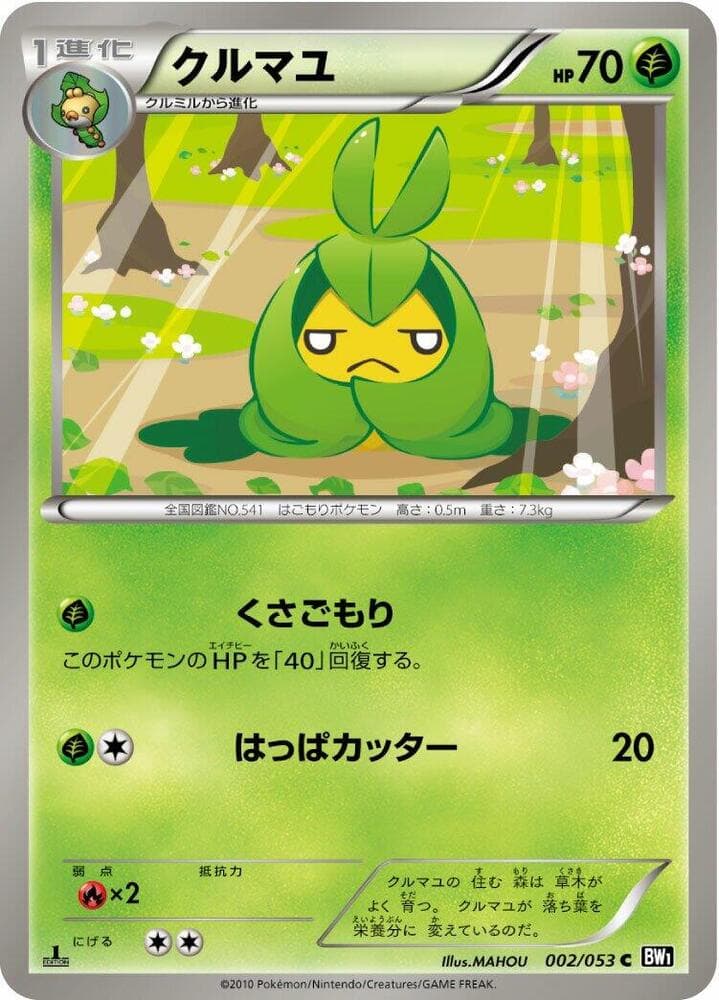 Swadloon 002/53