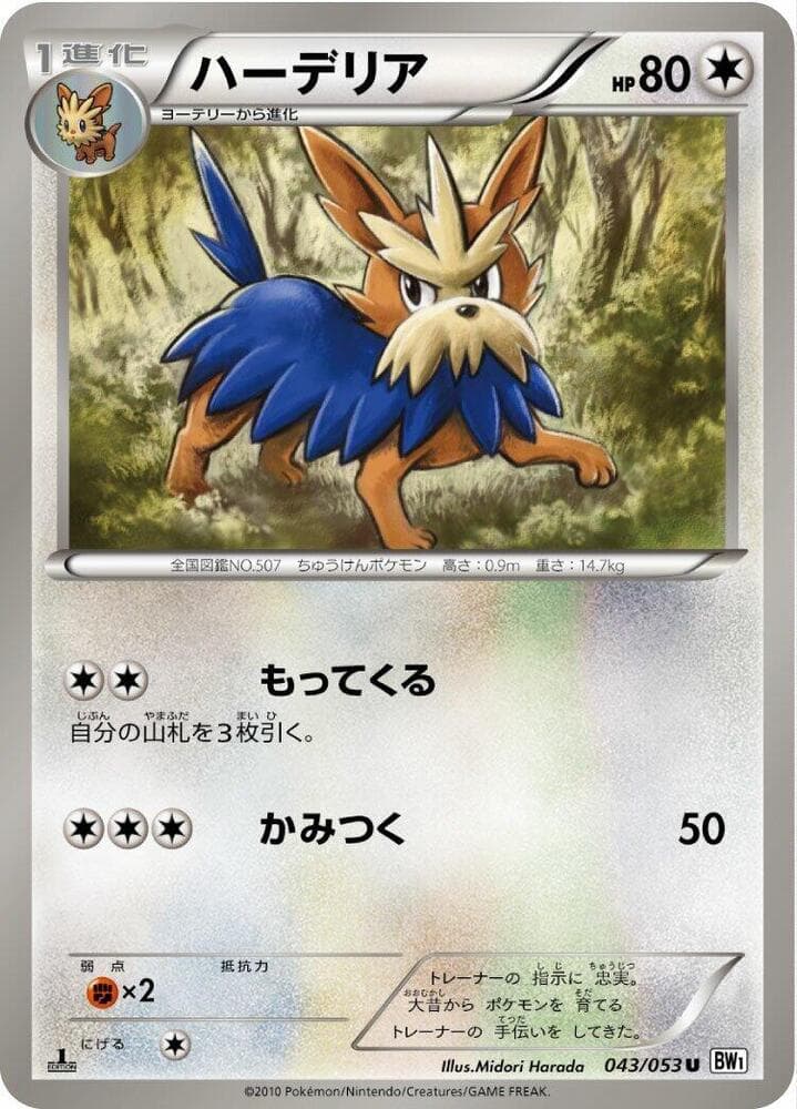 Herdier 043/53