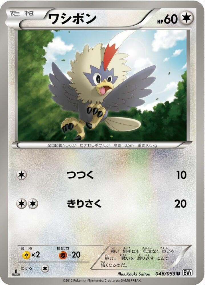 Rufflet 046/53