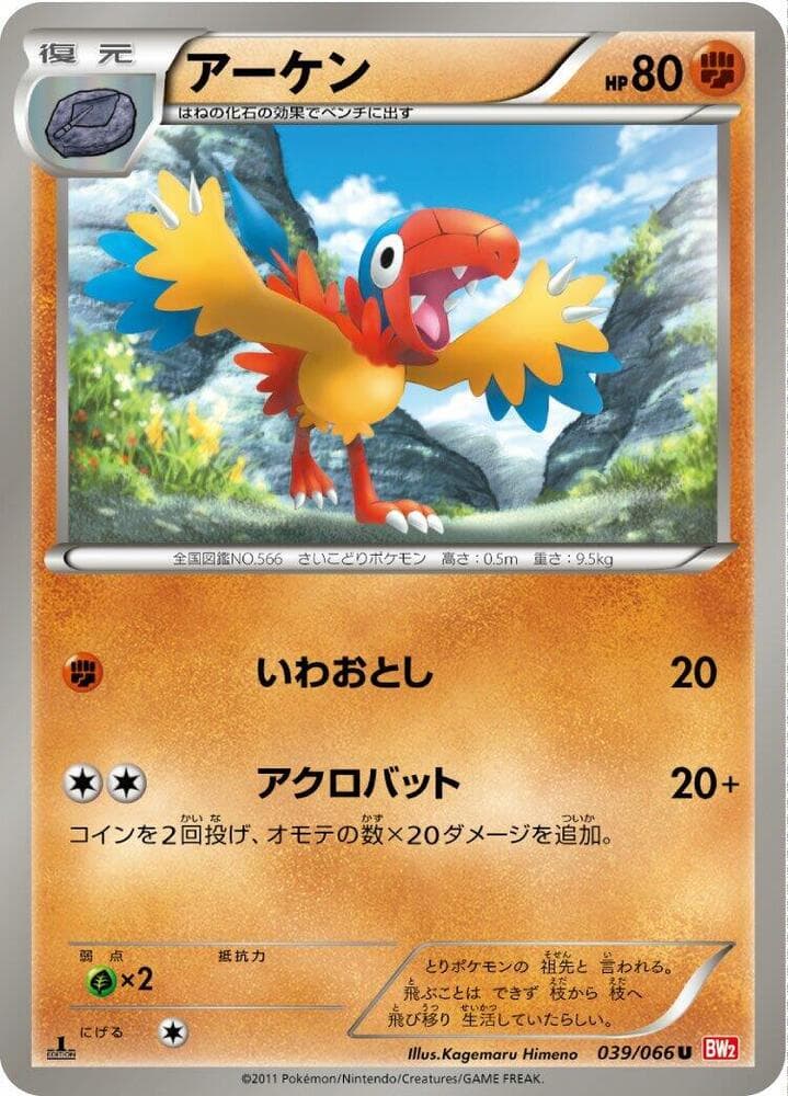 Archen 039/66
