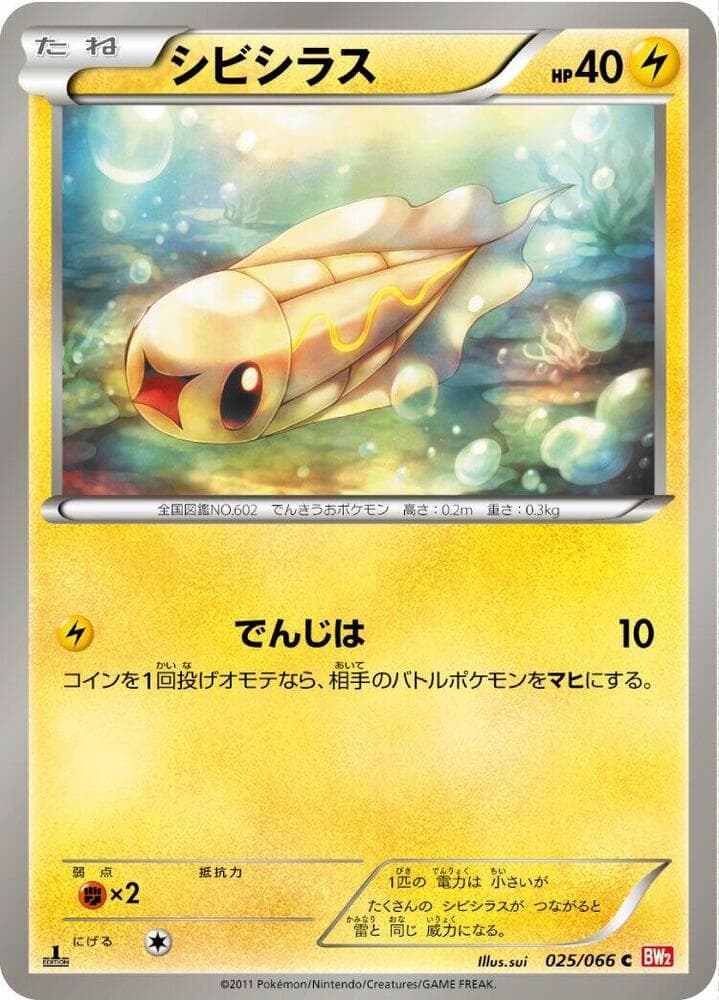 Tynamo 025/66
