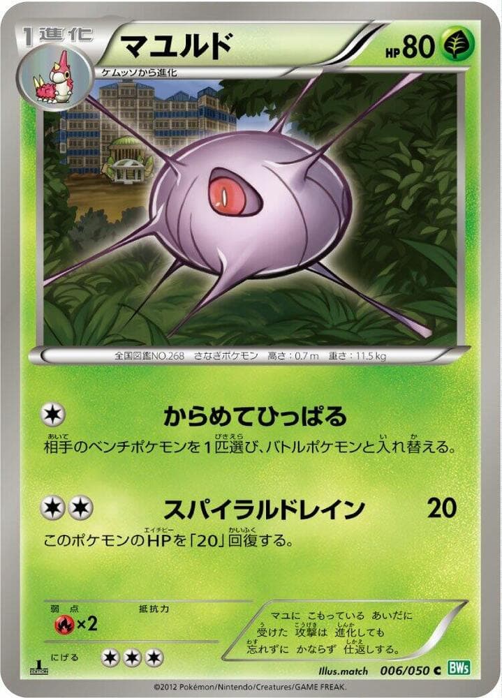 Cascoon 006/50