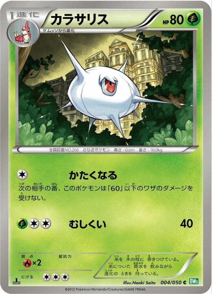 Silcoon 004/50