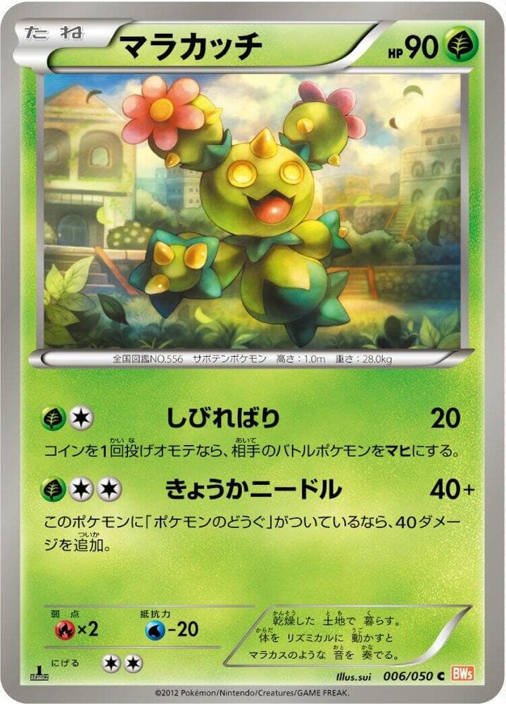 Maractus 006/50