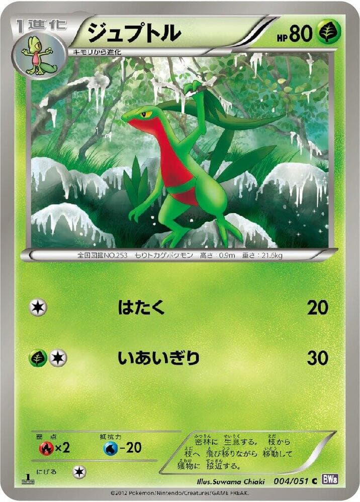 Grovyle 004/51