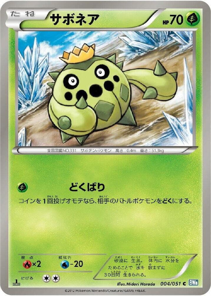 Cacnea 004/51