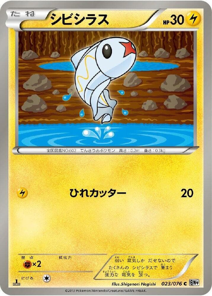 Tynamo 023/76