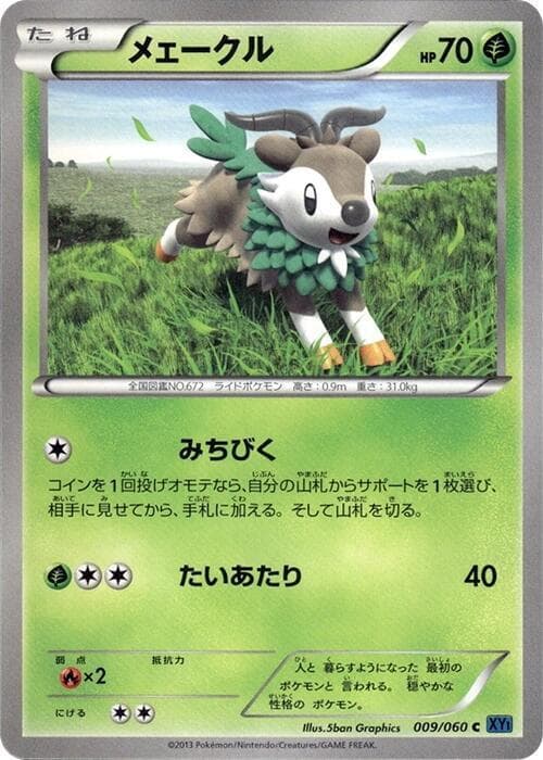 Skiddo 009/60
