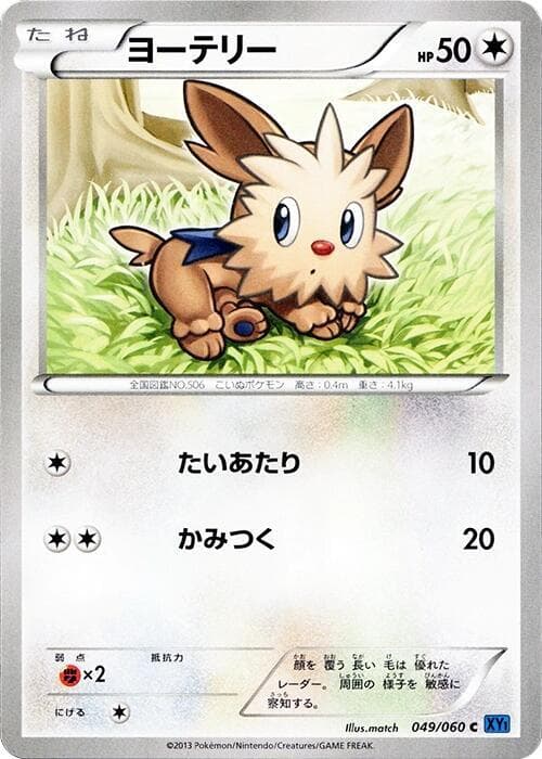 Lillipup 049/60