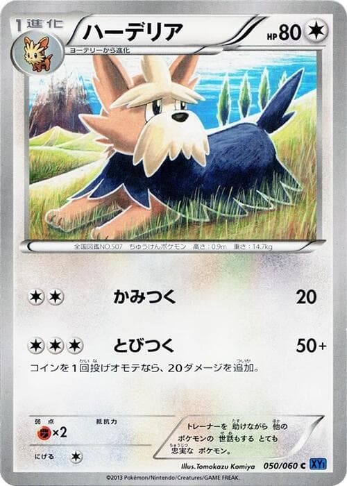 Herdier 050/60