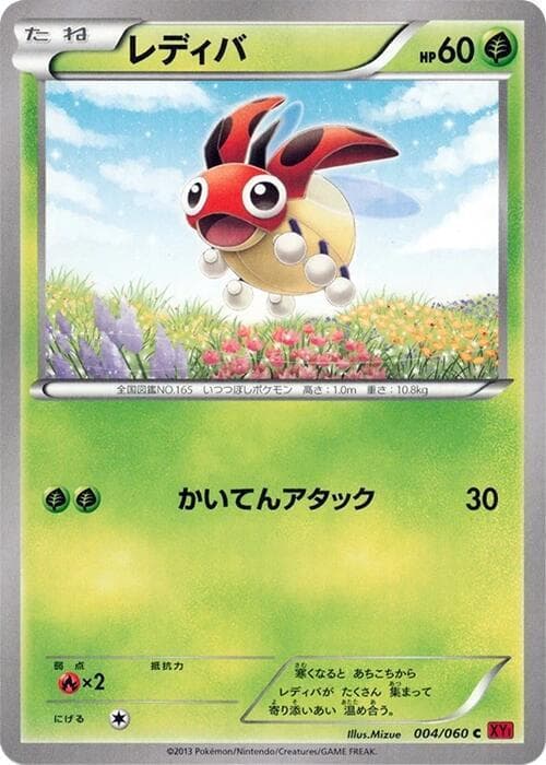 Ledyba 004/60