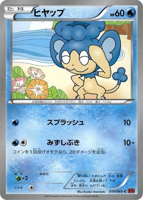 Panpour 019/60