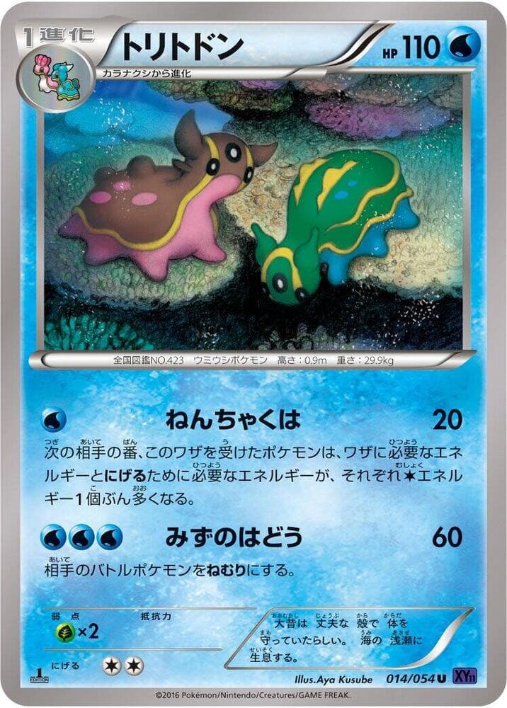 Gastrodon 014/54