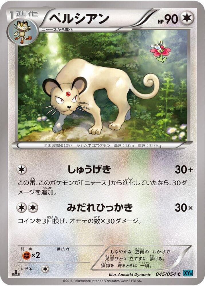 Persian 045/54