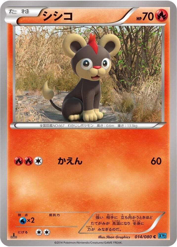 Litleo 014/80