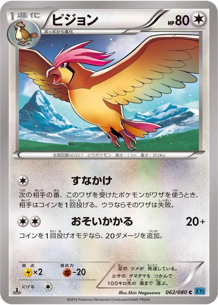 Pidgeotto 062/80