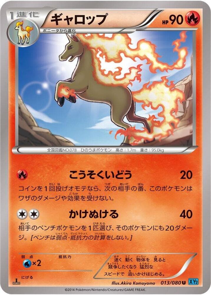 Rapidash 013/80