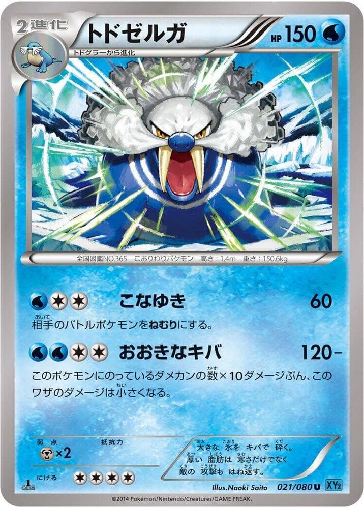 Walrein 021/80