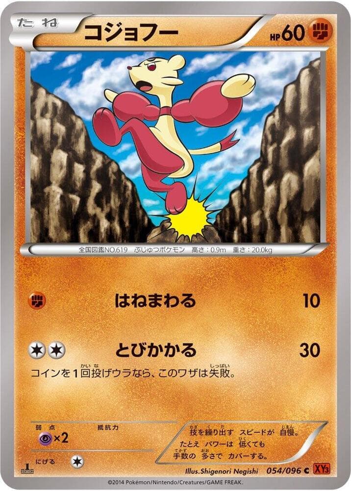 Mienfoo 054/96