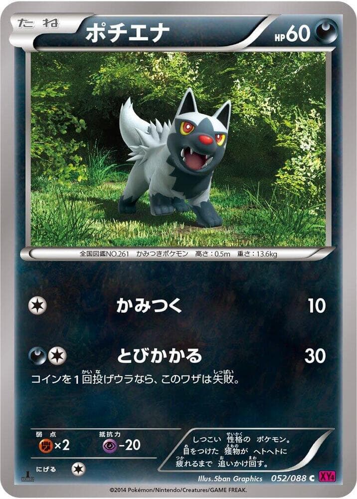 Poochyena 052/88