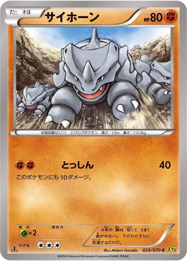 Rhyhorn 029/70